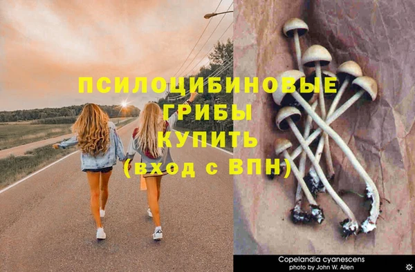 мдпв Михайловск