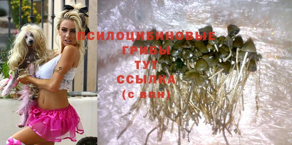 мдпв Михайловск