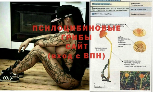 спиды Михайловка
