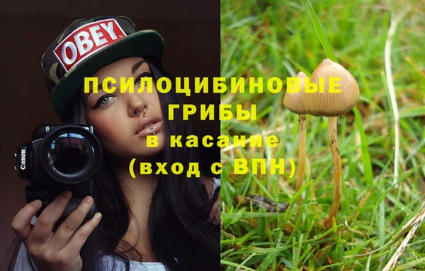 спиды Михайловка