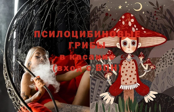 спиды Михайловка
