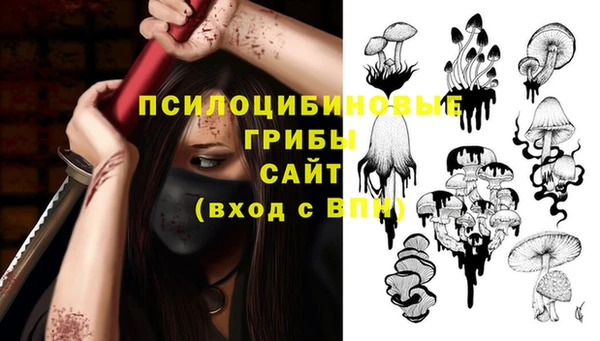 2c-b Михайлов