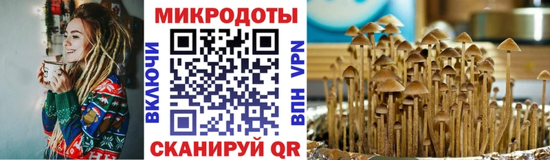 Псилоцибиновые грибы GOLDEN TEACHER  Далматово 